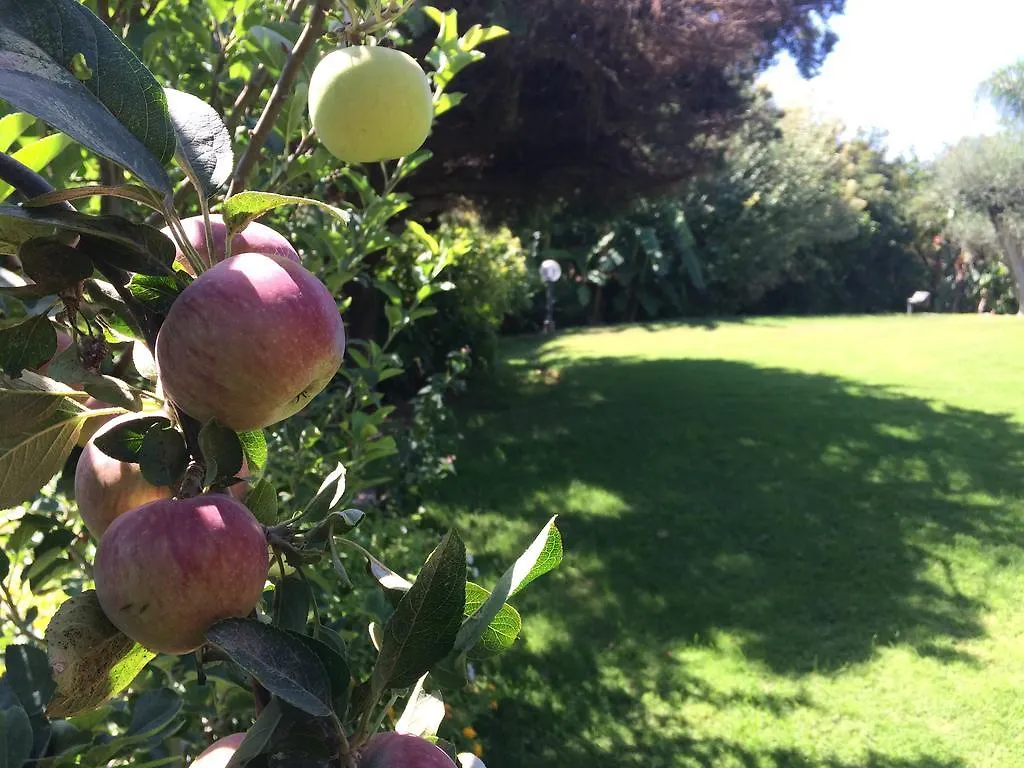A Casa Di Angela B&B Carbonia Italien